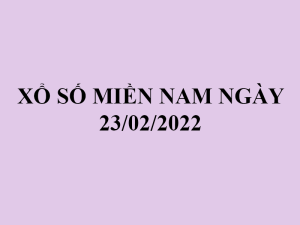 xsmn232